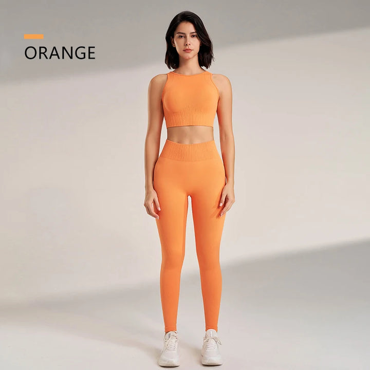 Conjunto Feminino Fitness Sem Costura