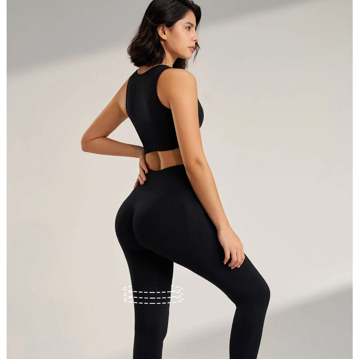 Conjunto Feminino Fitness Sem Costura