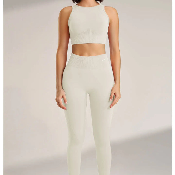 Conjunto Feminino Fitness Sem Costura