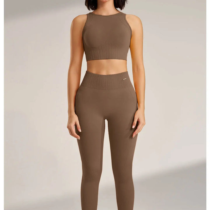 Conjunto Feminino Fitness Sem Costura