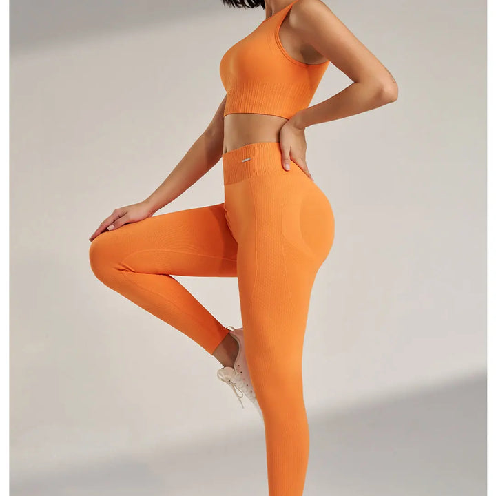 Conjunto Feminino Fitness Sem Costura
